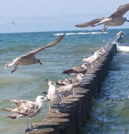 公寓 Grand Royal Baltic - Luksusowy 150 Metrow Od Plazy, Port, Taras, Bezplatny Parking, Lokalizacja W Centrum Ustki 乌斯特卡