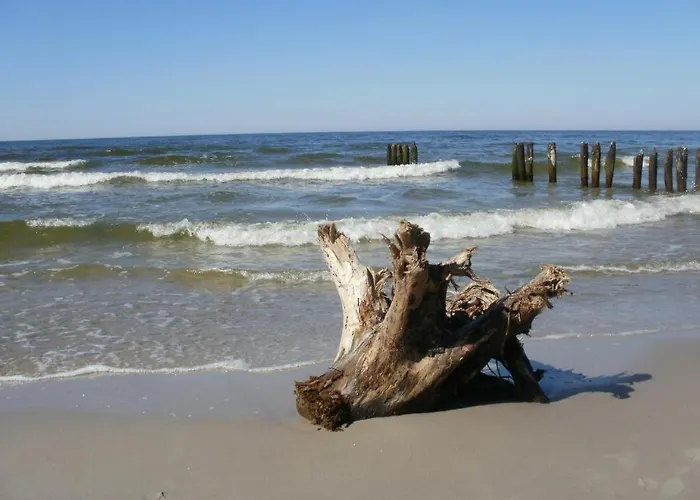 Grand Royal Baltic - Luksusowy 150 Metrow Od Plazy, Port, Taras, Bezplatny Parking, Lokalizacja W Centrum Ustki Appartement *