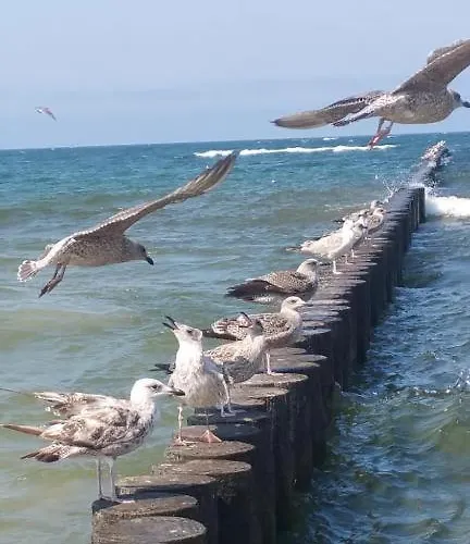 Appartement Grand Royal Baltic - Luksusowy 150 Metrow Od Plazy, Port, Taras, Bezplatny Parking, Lokalizacja W Centrum Ustki Ustka